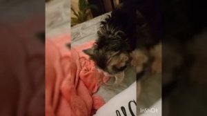 Маленький момент проявления любви