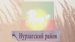 Нурлатский район