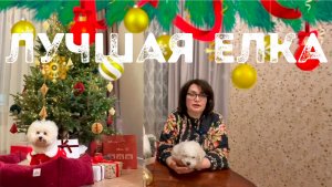 Новый 2026 год с Агнелль Де Неж: Конкурс на самую красивую елку в нашем питомнике.