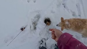 АДСКИЕ ДОРОГИ, ОБРЫВЫ ПРОВОДОВ, ГДЕ УЧАТСЯ ДЕТИ? Реальная жизнь в деревне