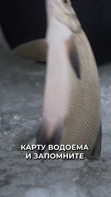 😳🐟 Секрет успешной рыбалки на льду смотреть онлайн