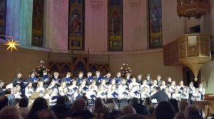 VID_20260111_222529.mp4