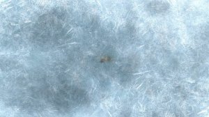 Замерзшее стекло