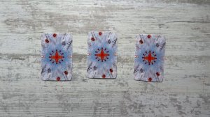 Мак подсказка КОТОПРЕДСКАЗАНИЯ 🫶🏼