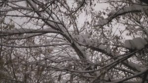 Декабрь совсем ушёл.