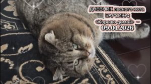 ДНЕВНИК лесного кота Барсика: «Хорошо дома!» - 9 января 2026 года