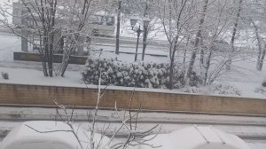 12.01.26 ВОТ МЫ И В АРХАНЕЛЬСКЕ) 🤣❄️☃️🛷🎿