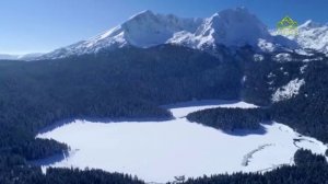 Стихи над миром. Стихотворения Юргиса Балтрушайтиса