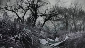 ОСЕННИЙ РОМАНС премьера песни (слова дедушки ау + suno)