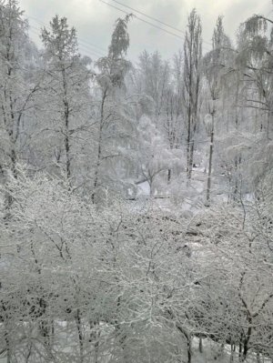 всем привет 👋