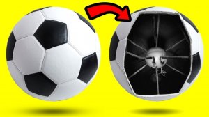 Потрясающие Секреты Обычных Вещей. Часть 9