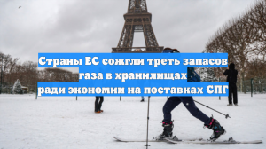 Страны ЕС сожгли треть запасов газа в хранилищах ради экономии на поставках СПГ