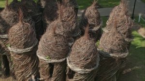 Хитро-сплетённое искусство !