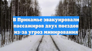 В Прикамье эвакуировали пассажиров двух поездов из-за угроз минирования