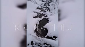 Новый коммунальный прорыв в Богородске снова отравил речку Рязанку