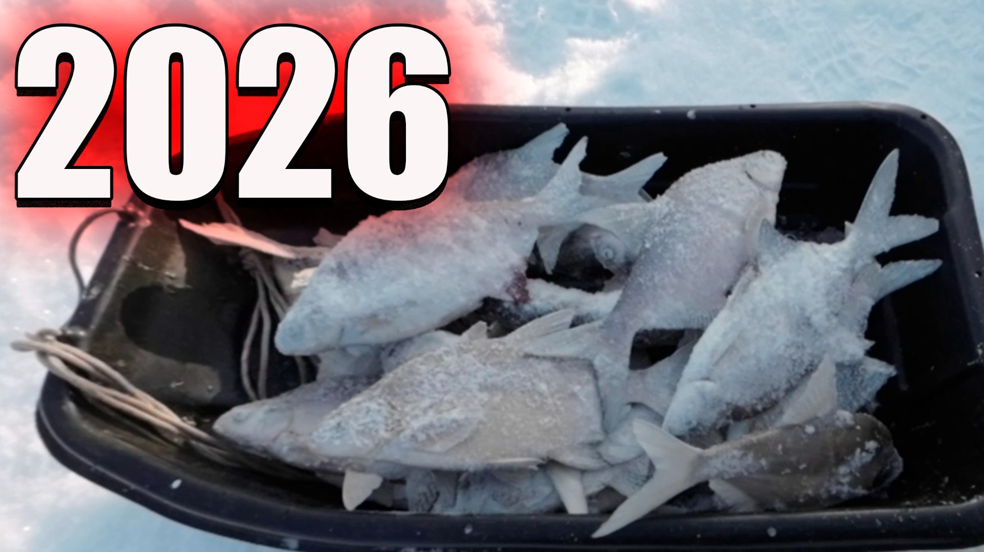 Рыбалка 2026 на Красноярском водохранилище. Зимняя рыбалка. смотреть онлайн