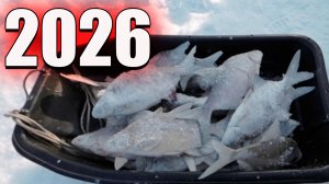 Рыбалка 2026 на Красноярском водохранилище. Зимняя рыбалка.