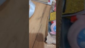 виви ♡ и пуш♤