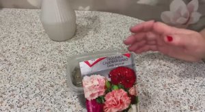 Гвоздика Шабо взошла на 4 сутки.