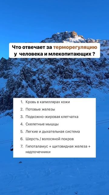 Что отвечает за терморегуляцию у человека и млекопитающих смотреть онлайн