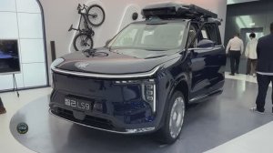 IM LS9 2026 года