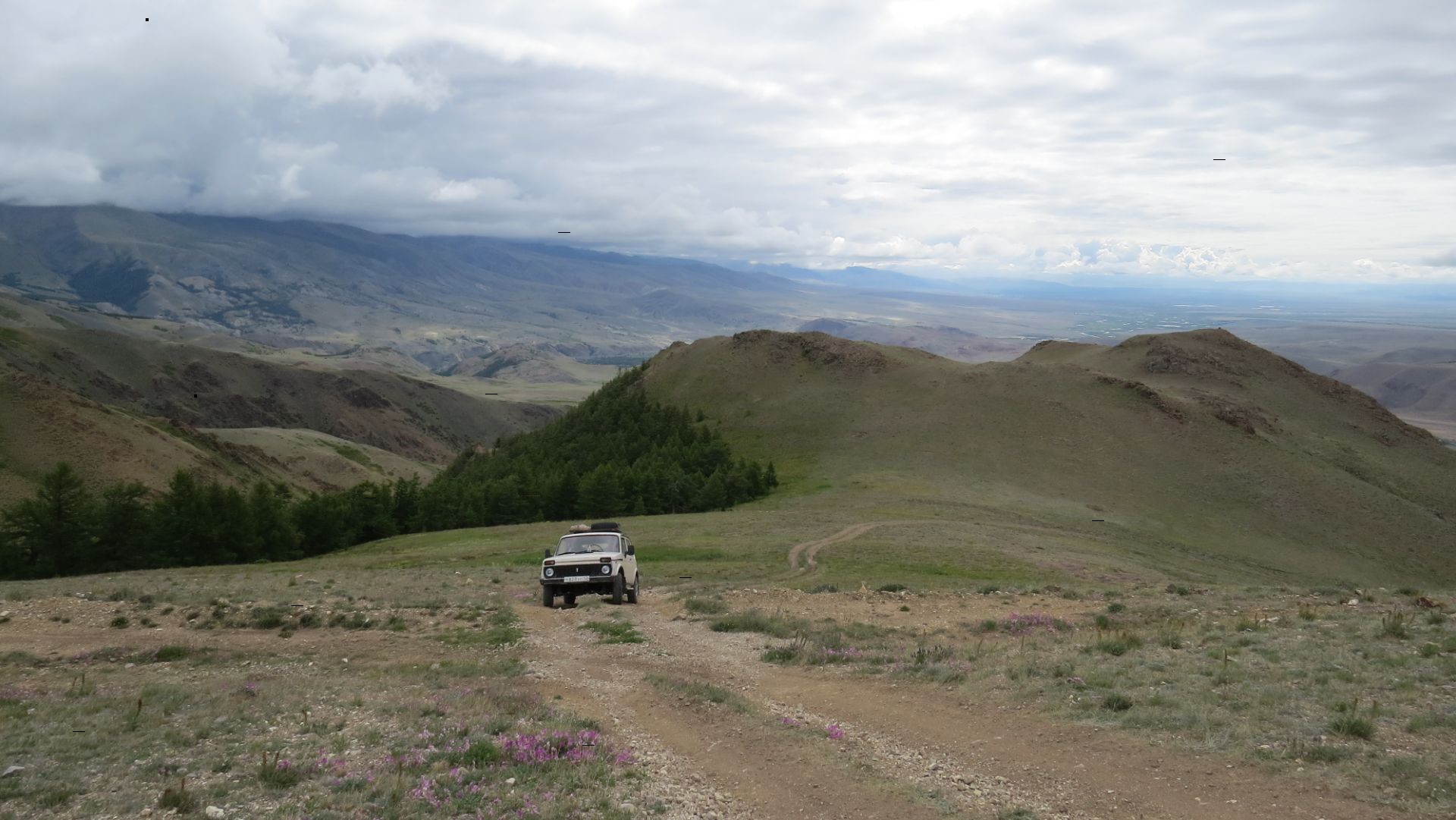 Горный Алтай.Подъем на гору Сукор.Июль 2025г смотреть онлайн