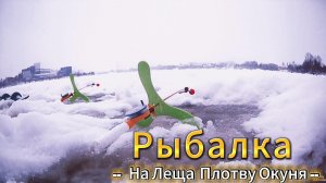 РЫБАЛКА НА ЛЕЩА ПЛОТВУ ОКУНЯ  СУДАКА ЩУКУ РЕКА НЕВА ГЛУХОЗИМЬЕ ЯНВАРЬСКОЕ