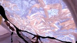 Первая рыбалка в 2026 году _ Разведка на реке принесла сига и хариуса _ Рыбалка в палатке