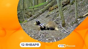 Утро России. Калуга (12.01.2026)