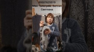 12.01.26Пуховые косынки, шарфы ажурные,  гетры, гольфы, кофточки, манишки, носки, следки.пончо