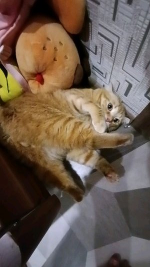 заходи на стрим мы с моей лп🫶