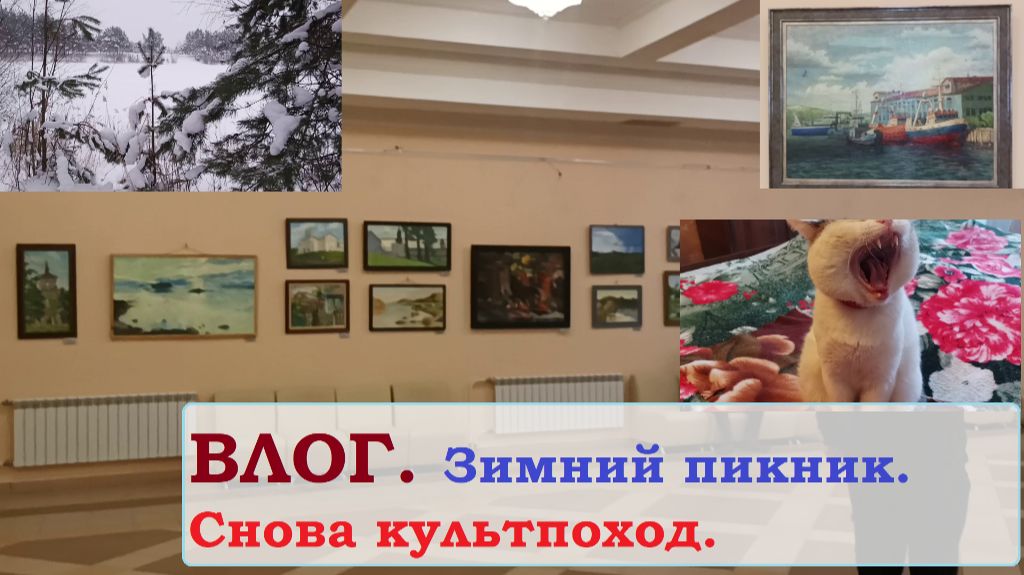 ВЛОГ. Зимний пикник.Снова культпоход смотреть онлайн