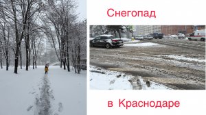Краснодар завалило снегом. 12 января 2026