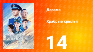 Храбрые крылья 14 серия