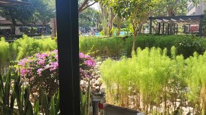 Обзор территории и номеров отеля Basaya Beach Паттайя 🏨 ⛱️