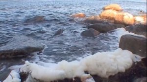 ©  "Остров Надежды. Морская пена" 2006