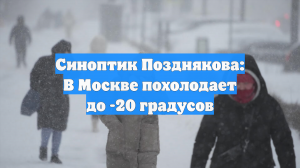Синоптик Позднякова: В Москве похолодает до -20 градусов