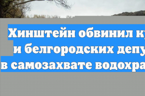 Хинштейн обвинил курских и белгородских депутатов в самозахвате водохранилища