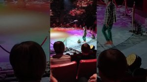 Обезьянки в цирке в шоу воды огня света Брянск