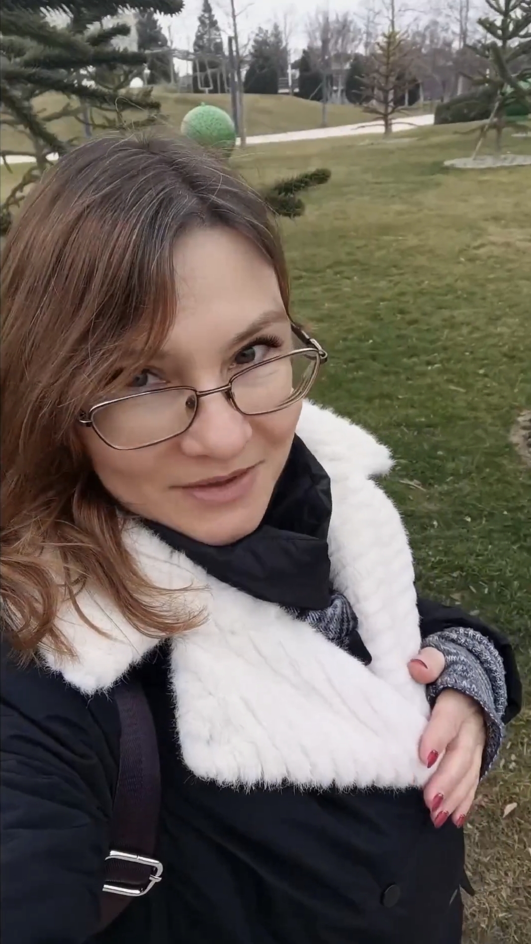 Парк Галицкого в январе. Араукария чилийская✅ смотреть онлайн