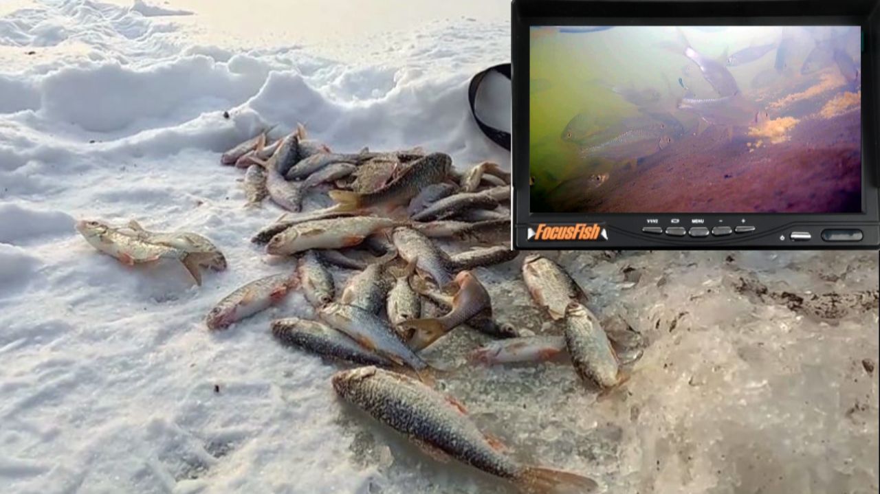 МАЛОРЕЧИЕ !!! Рыбалка на лесной речке 11 января 2026г. смотреть онлайн