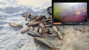 МАЛОРЕЧИЕ !!! Рыбалка на лесной речке 11 января 2026г.