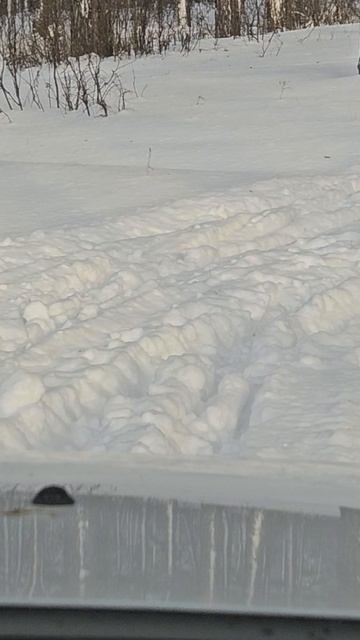 Renault Duster в снегах #shorts смотреть онлайн