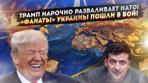 НАТО летит в пропасть – Трамп ликует! Украина – последний оплот «глобалистов»!