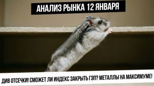 Анализ рынка 12 января. Див.отсечки! Сможет ли индекс закрыть гэп? Рубль! Газ! Золото! Серебро!