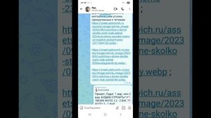 1000045701.mp4 (Собака наблюдает за устройством лестницы на 2 этаж в доме А-фрейм)
