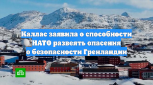 Каллас заявила о способности НАТО развеять опасения о безопасности Гренландии