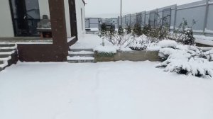 Снежное утро. Анапа 12. 01 26 г.