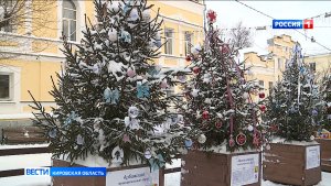 Жители и гости Кировской области выбрали лучшую новогоднюю ель региона