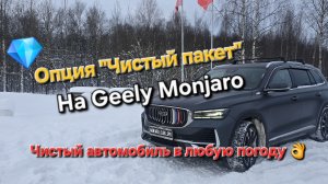 Опция "Чистый пакет" на Geely Monjaro: идеально чистый автомобиль в любую погоду.
